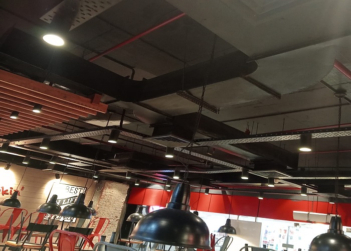 Painter Services in Haldwani